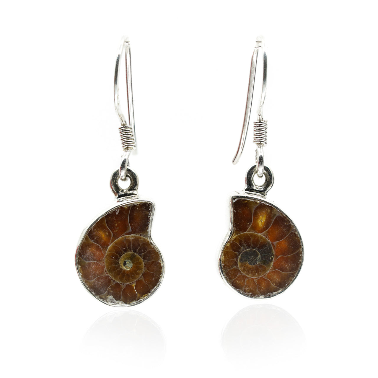 Ammonite Drops