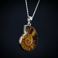 Thumbnail for Ammonite Pendant