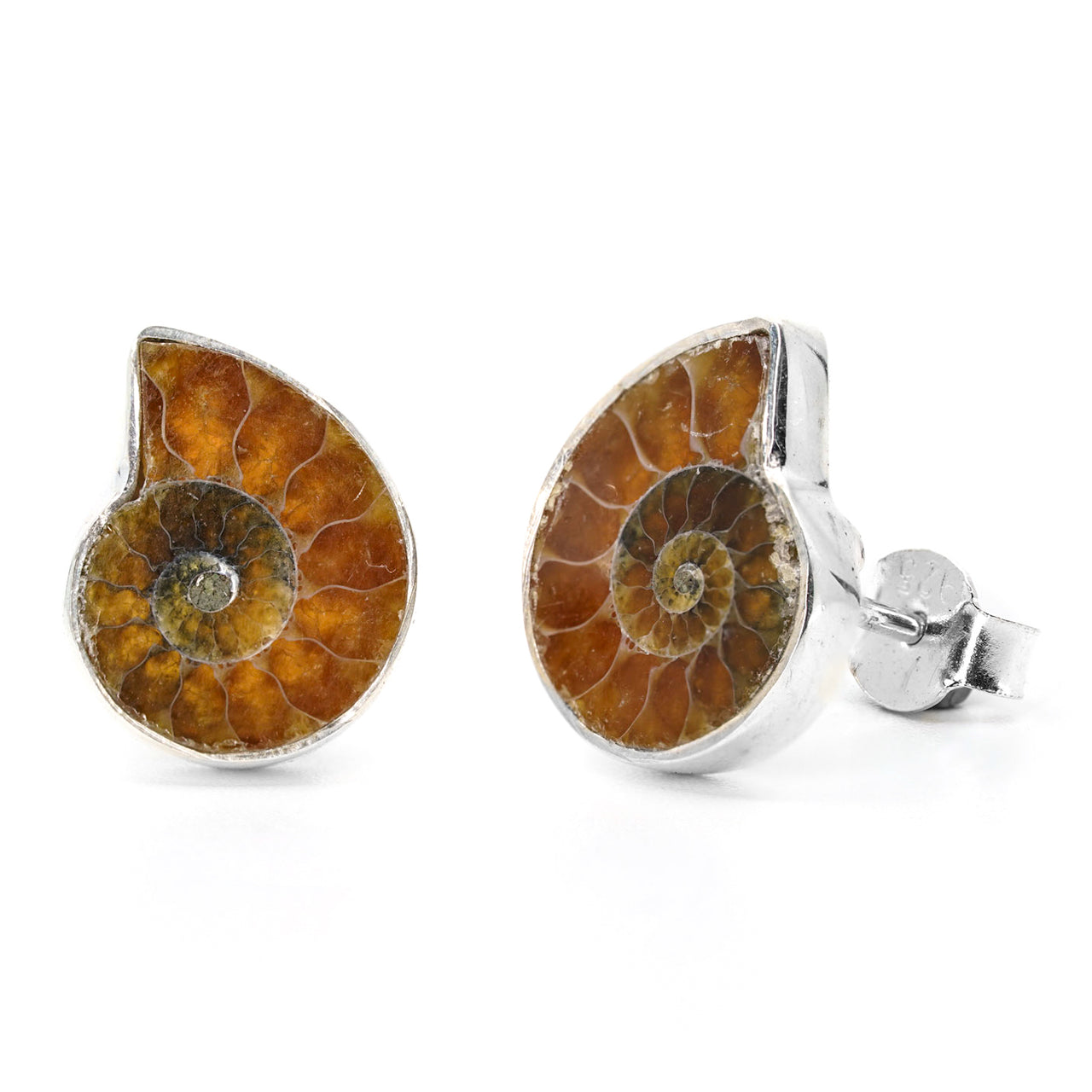 Ammonite Fossil Earring - Fossil Jewellery