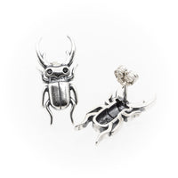 Thumbnail for Stag Beetle Studs