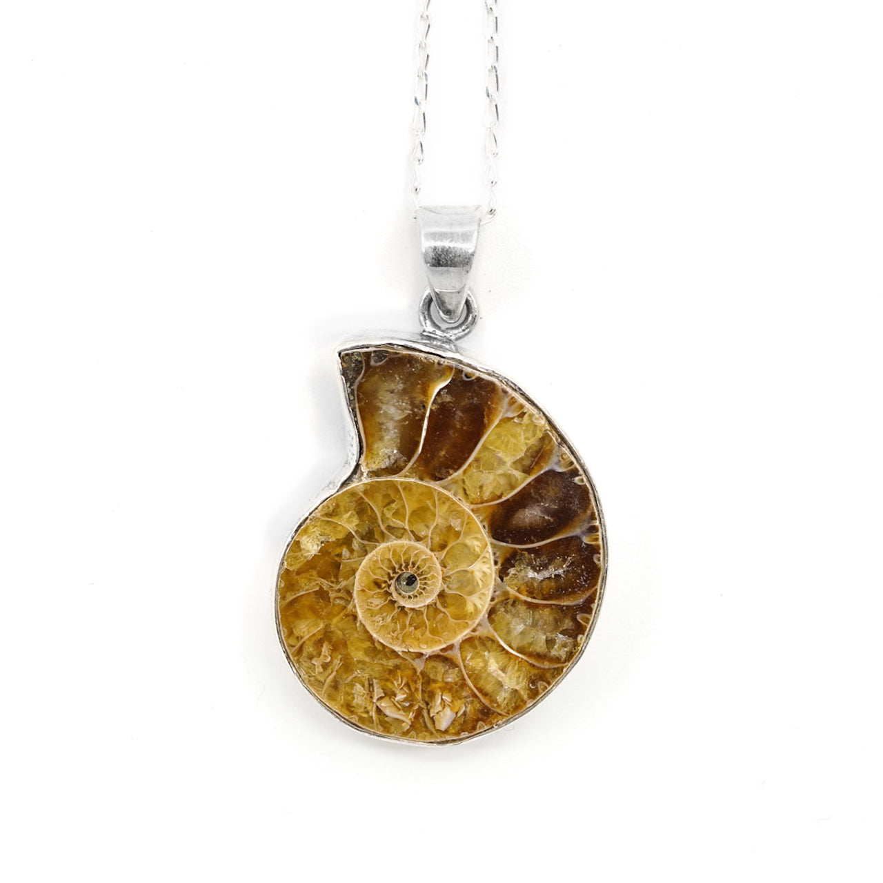 Ammonite Fossil Pendant - Sterling Silver Clasp - Gothic Jewellery