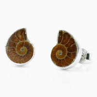 Thumbnail for Ammonite Fossil Earring - Fossil Jewellery
