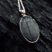Thumbnail for Large Genuine Trilobite as a pendant by Black Feather Design