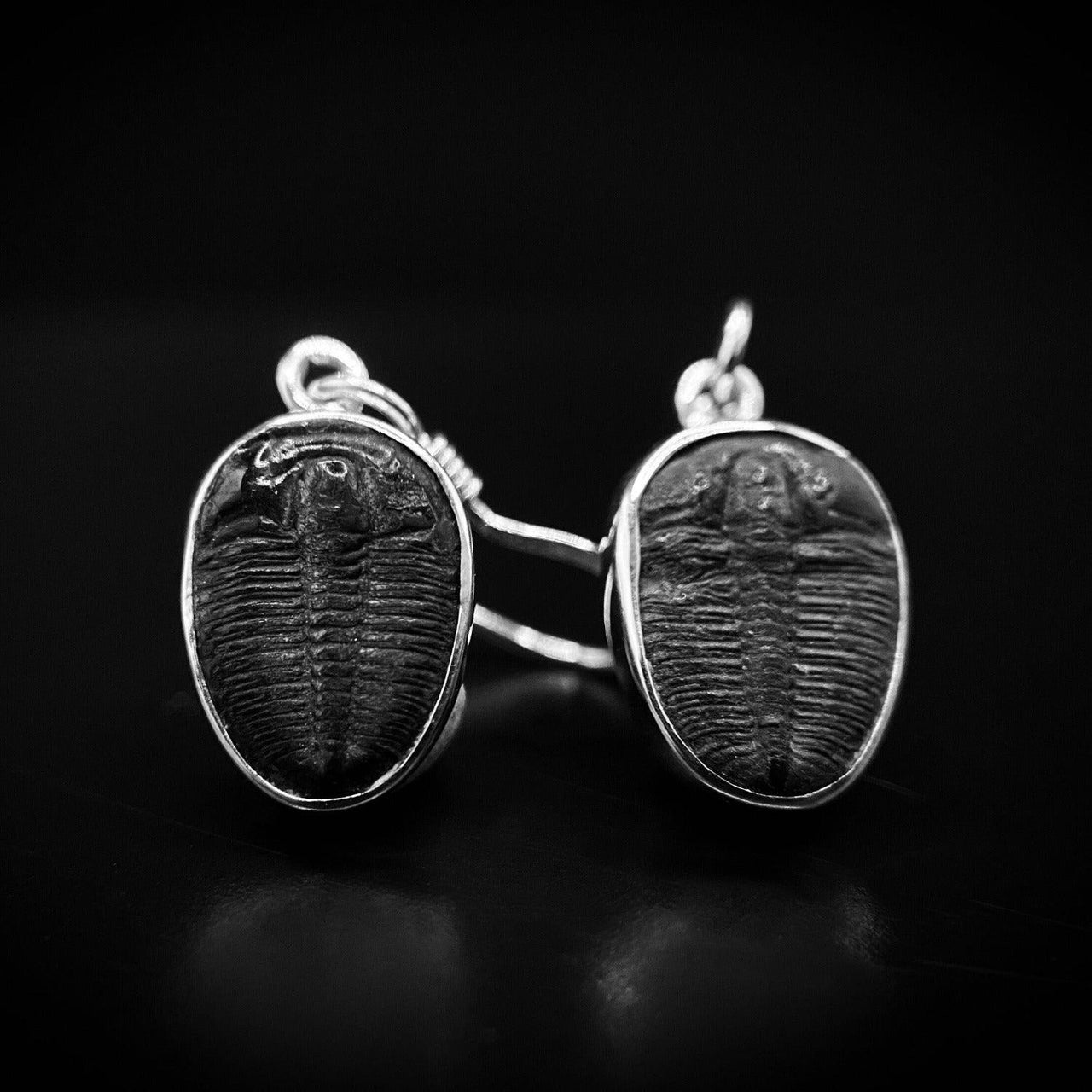  Trilobite Drop Earrings encased in 925 Sterling Silver - Black Feather Design