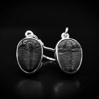 Thumbnail for  Trilobite Drop Earrings encased in 925 Sterling Silver - Black Feather Design