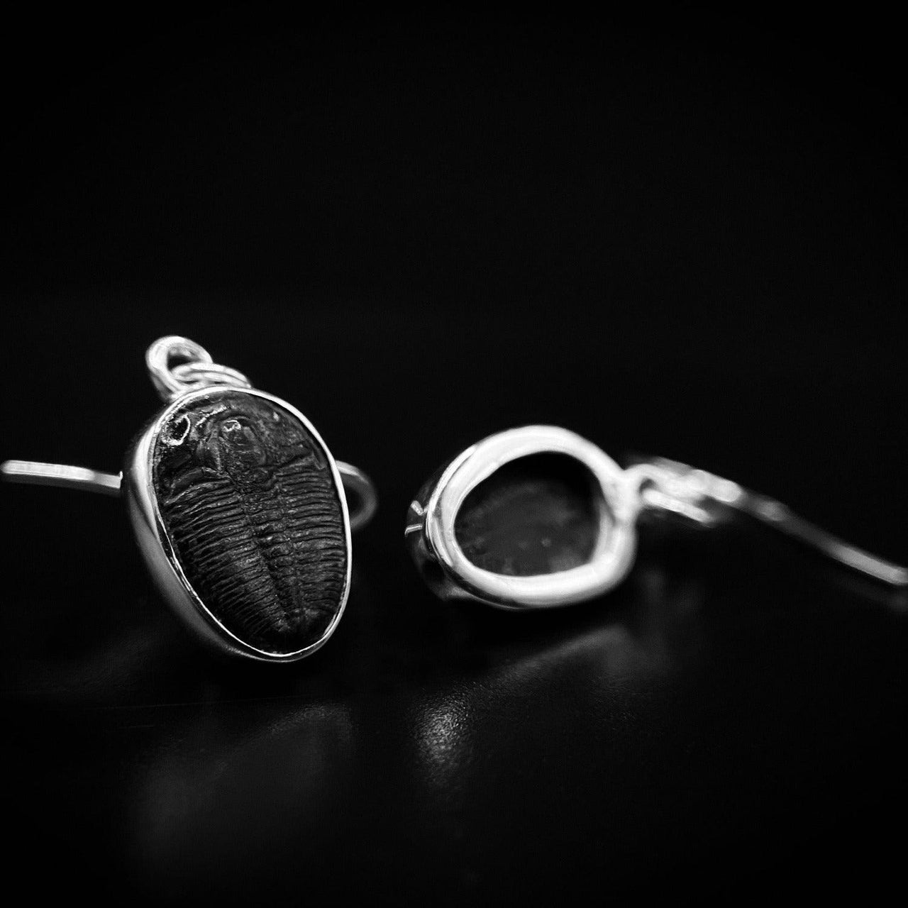  Trilobite Drop Earrings encased in 925 Sterling Silver - Black Feather Design