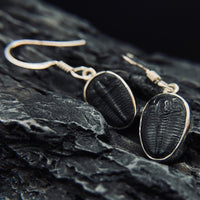 Thumbnail for  Trilobite Drop Earrings encased in 925 Sterling Silver - Black Feather Design