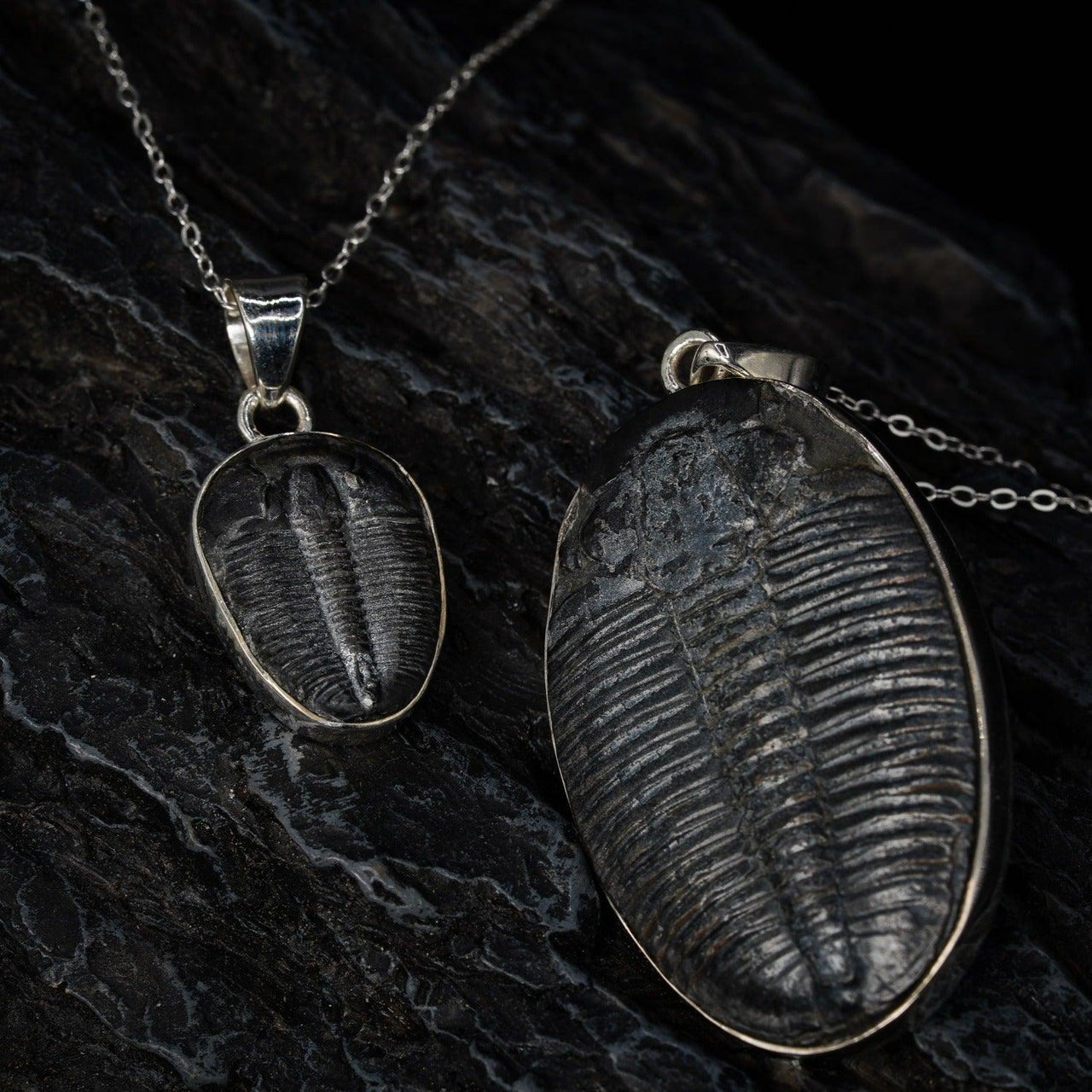 Small and large trilobite pendant by Black Feather Design