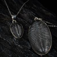 Thumbnail for Small and large trilobite pendant by Black Feather Design