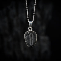 Thumbnail for Small Genuine Trilobite as a pendant by Black Feather Design