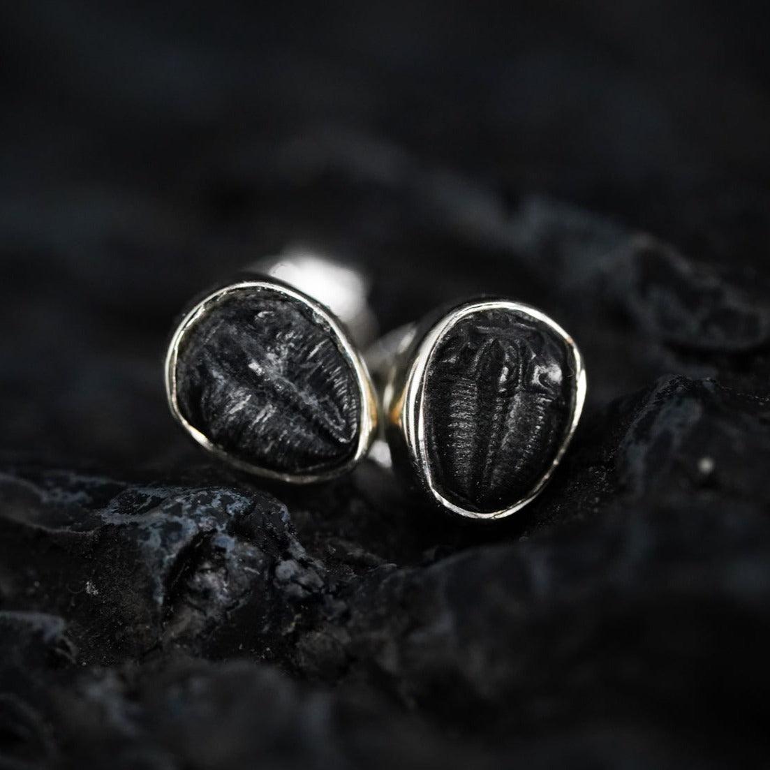 Small Trilobite stud earrings by Black Feather Design