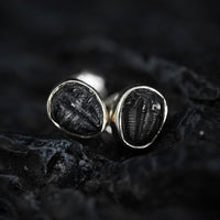 Thumbnail for Small Trilobite stud earrings by Black Feather Design