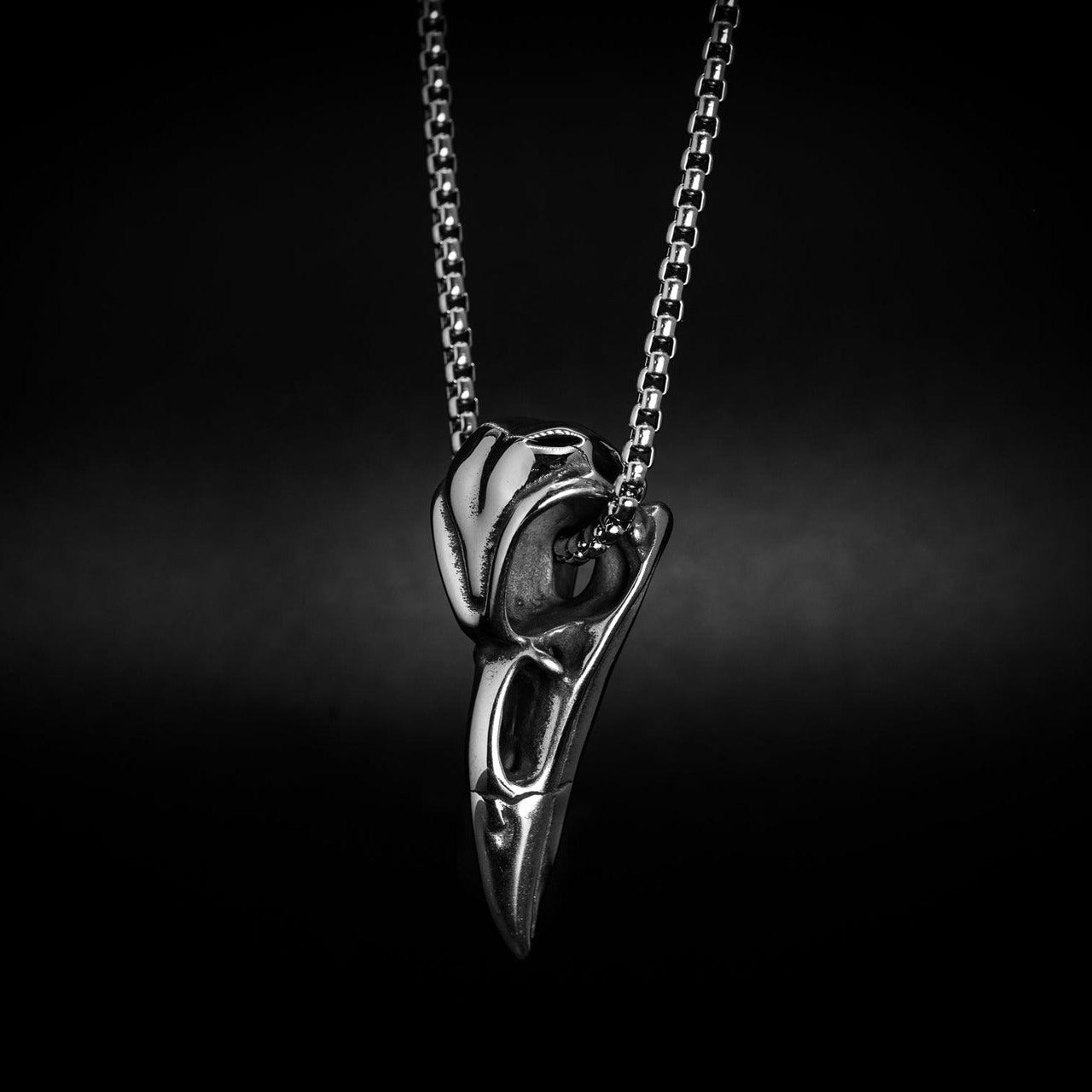 Raven's Skull gothic pendant - Black Feather Design