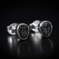 Thumbnail for Small Fossil stud earrings by Black Feather Design