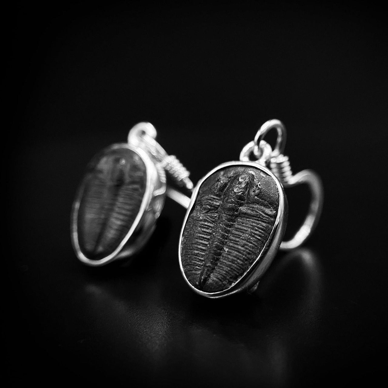 Trilobite Drop Earrings encased in 925 Sterling Silver - Black Feather Design